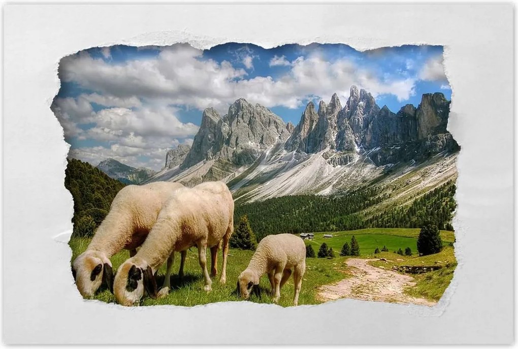 Poszterek 90x60 Hegyek Juh legeltetés