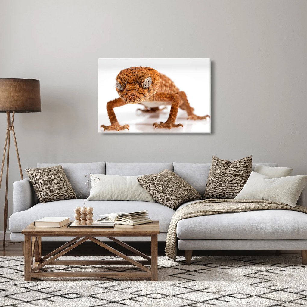 Gyík képe (90x60 cm)