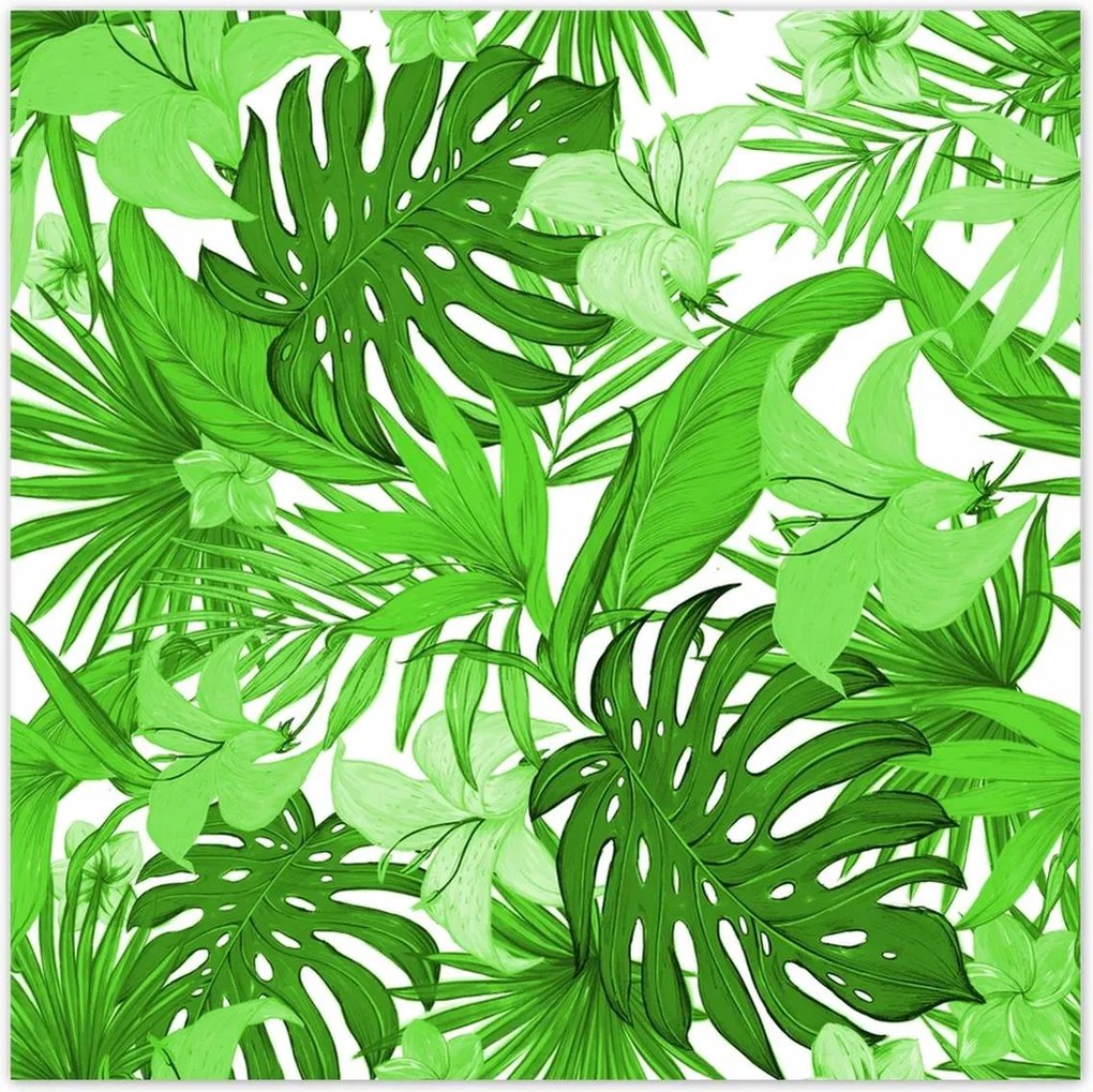 Poszterek 140x140 Leaves Monstera New look