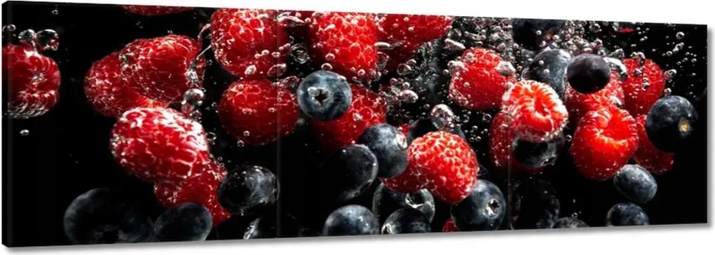 Vászonkép 120x40 Áfonya és málna víz