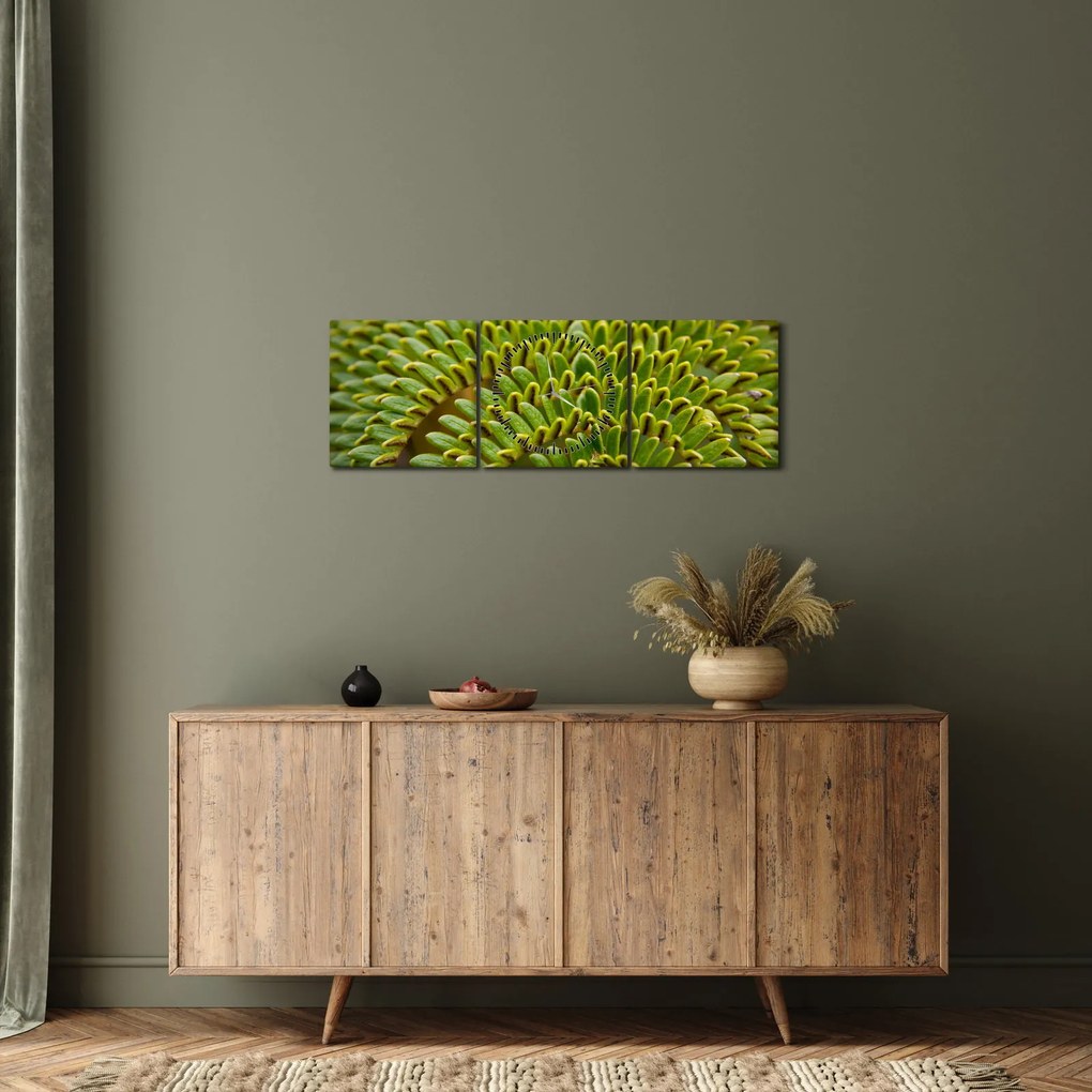 Kép - Fern (órával) (90x30 cm)