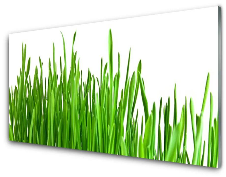 Üvegkép Grass Nature Plant 140x70 cm