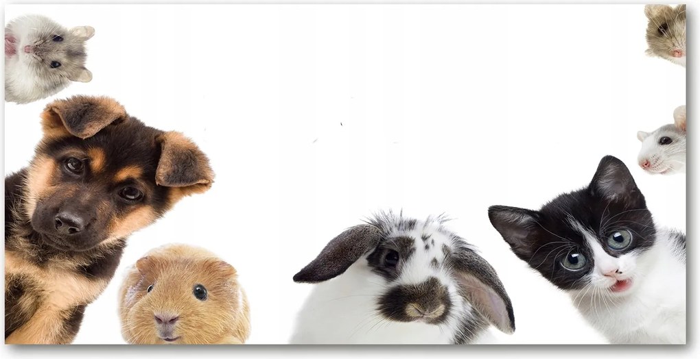 Fotó-üvegkép Háziállatok 140x70