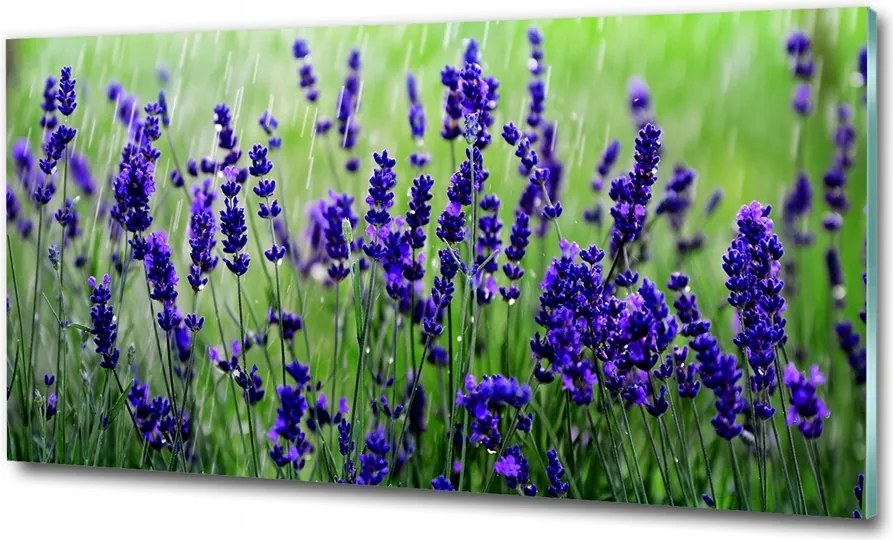 Fotó vászonkép edzett üveg Bambusz 100x70