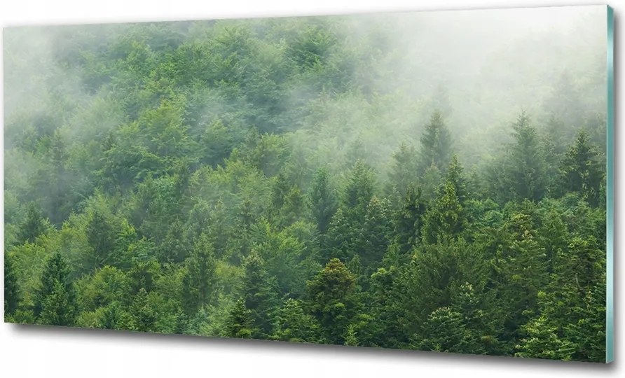 Fotó üvegkép Virágzó fokhagyma 125x50