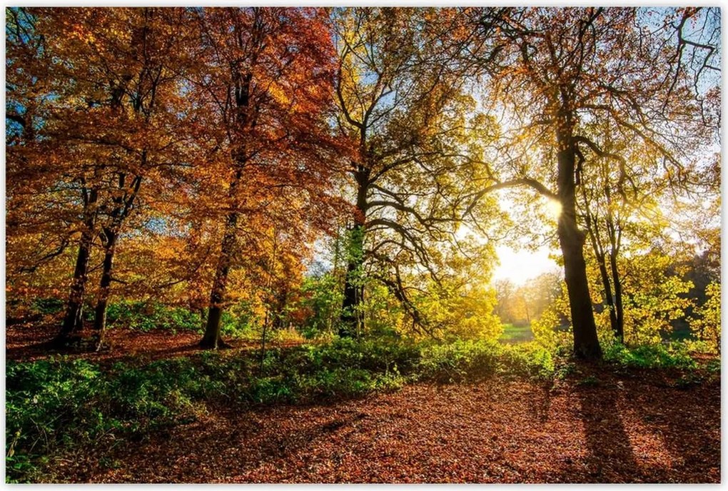 Poszterek 120x80 Tájkép