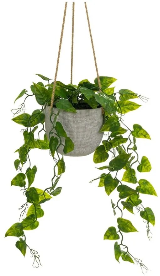 Műnövény (magasság 46 cm) – Casa Selección