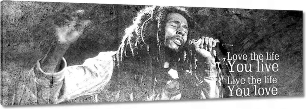 Vászonkép 90x30 Bob Marley koncert