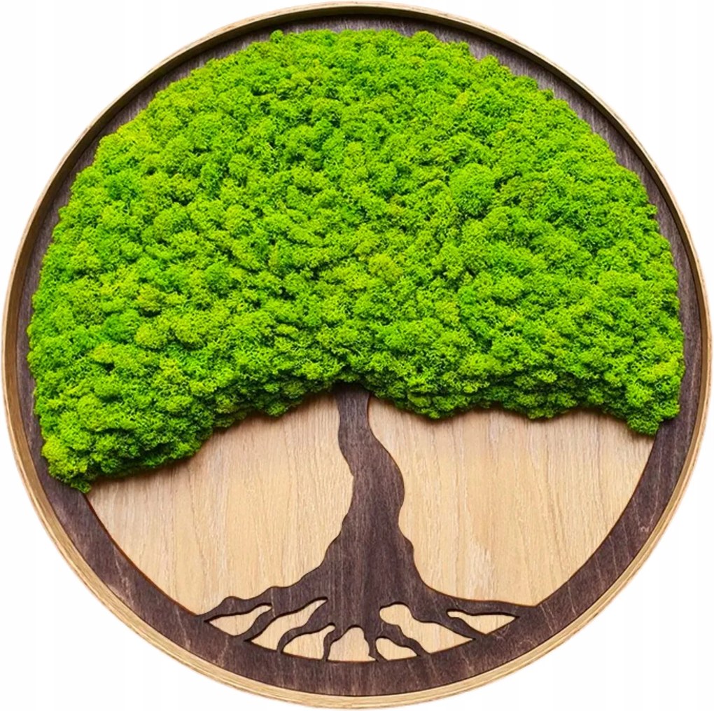 Moha kép Moha Krobot Tölgyfa keretben nagy 50cm Élő Fa kép XL