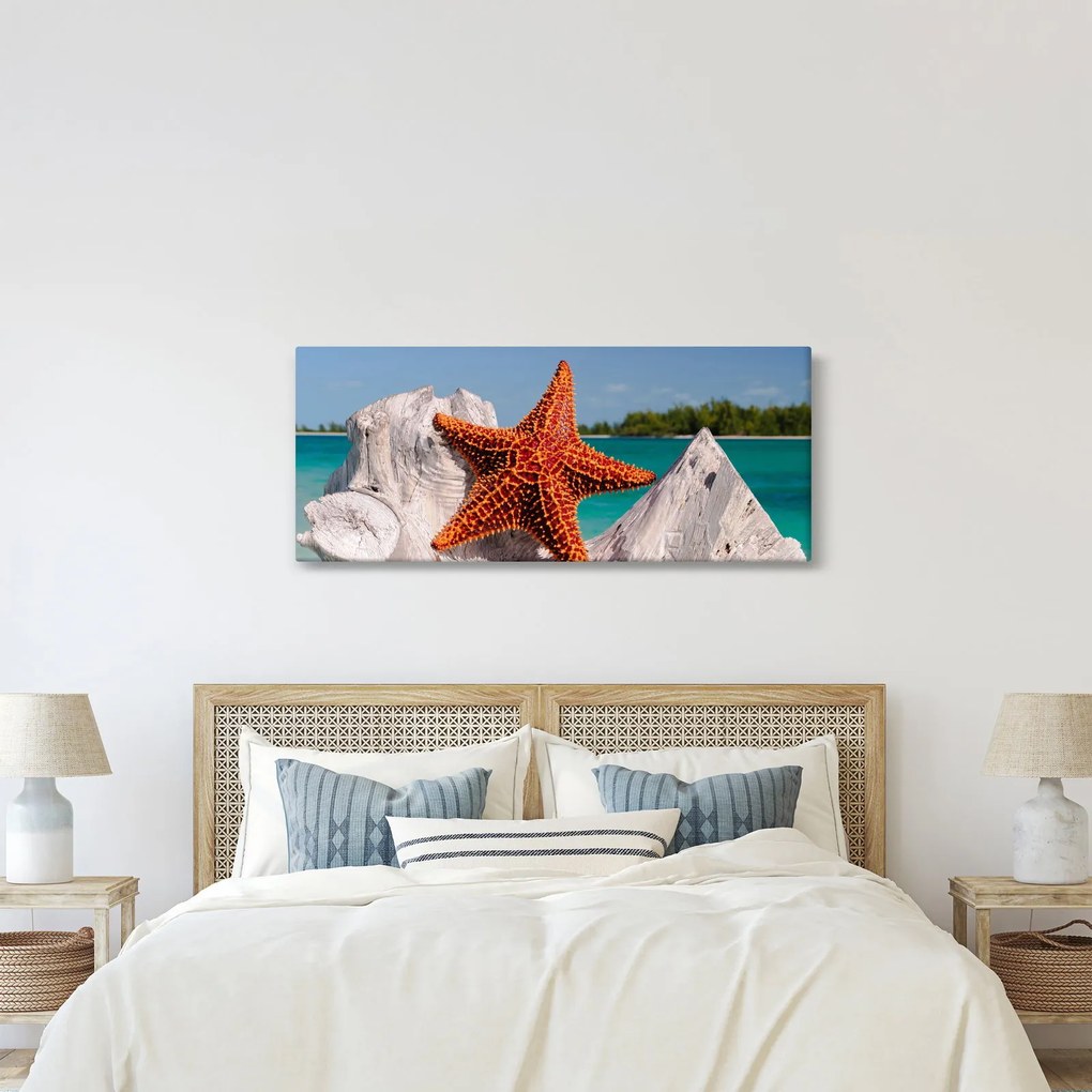 Egy tengeri csillag képe (120x50 cm)