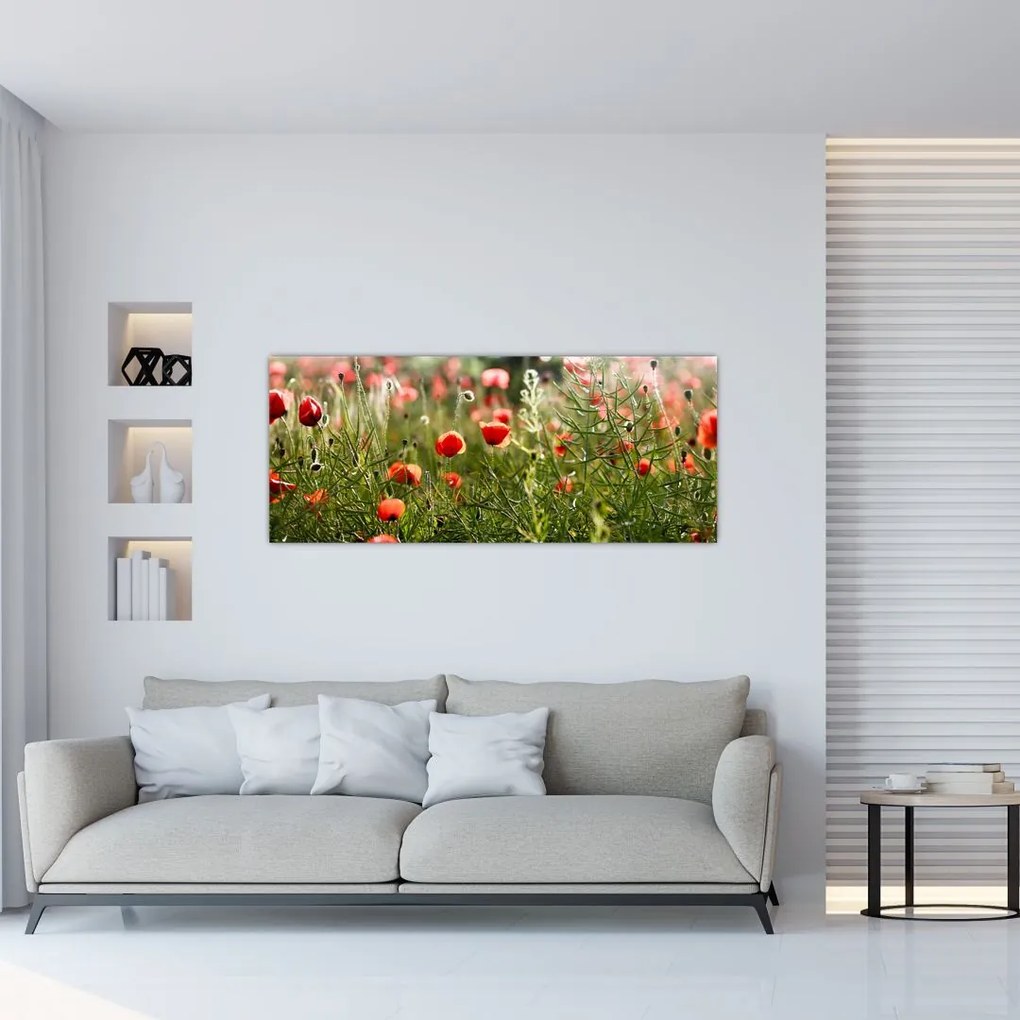 Pipacsok képe (120x50 cm)