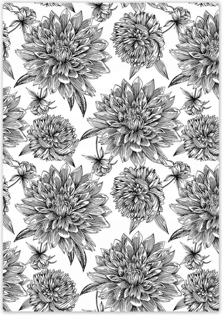 Poszterek 70x100 Fekete-fehér grafika Virág