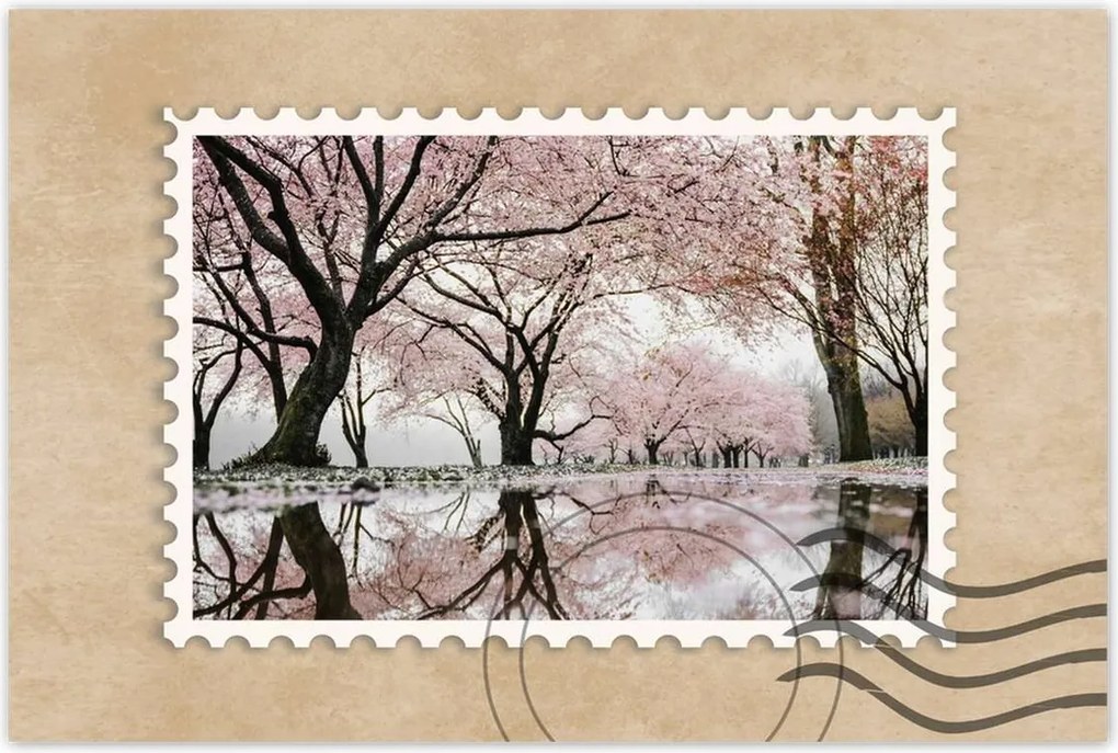 Poszterek 90x60 Fa Kilátás