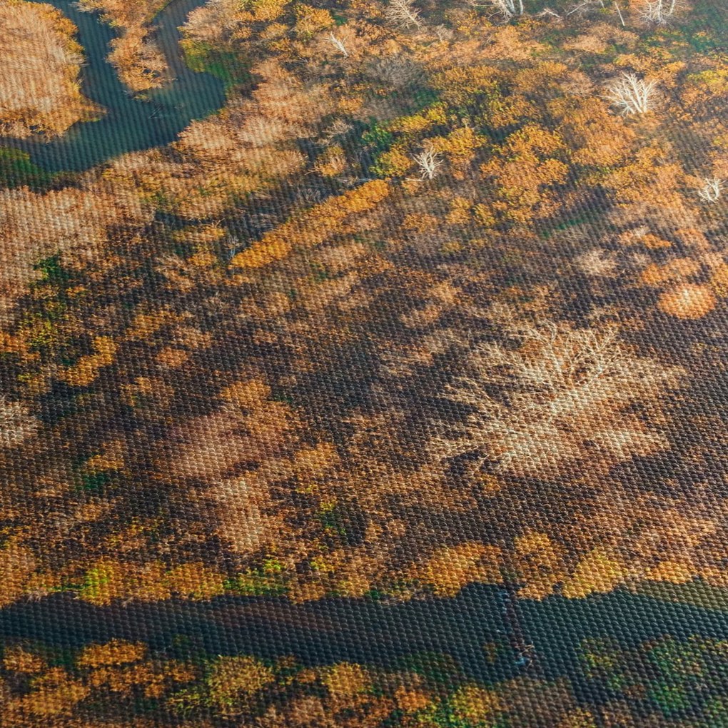 Kép - Szív alakú folyó (90x60 cm)