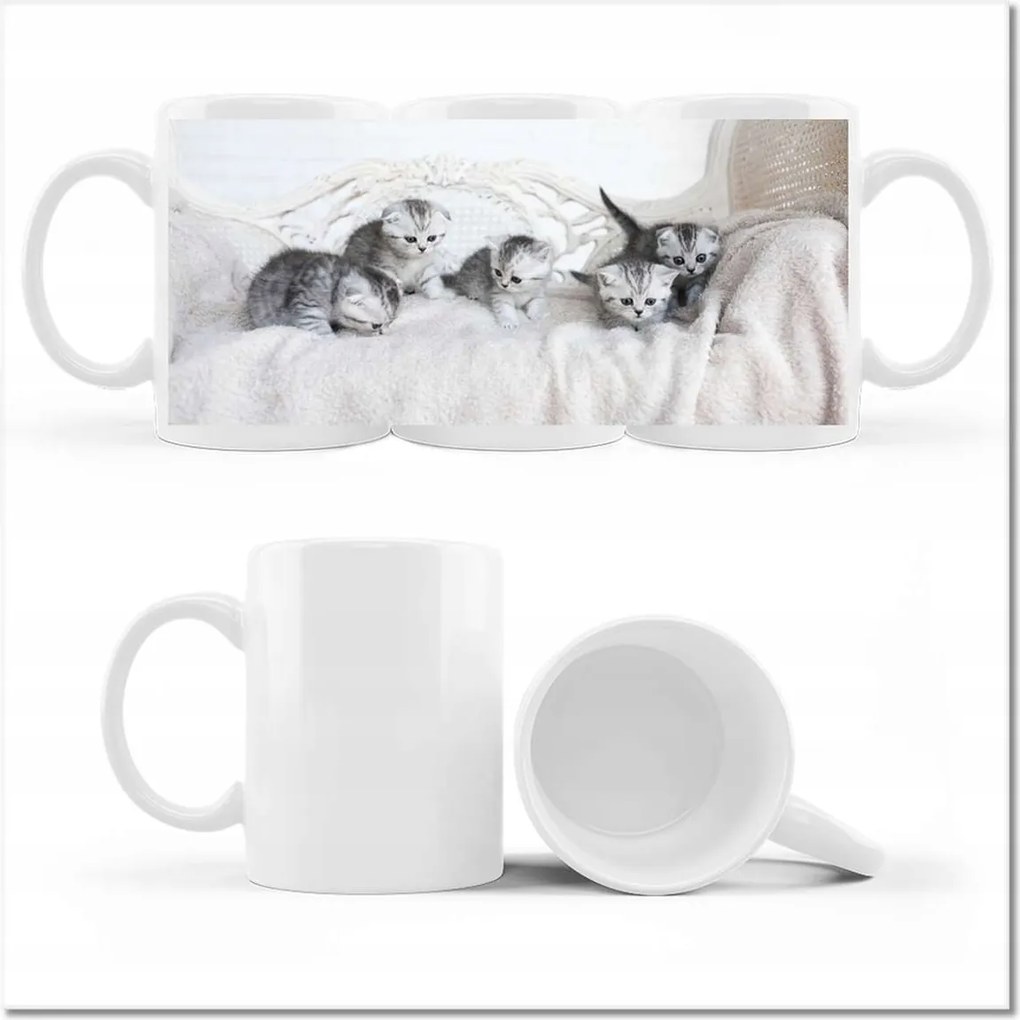 Cica fényképes bögre Cicák