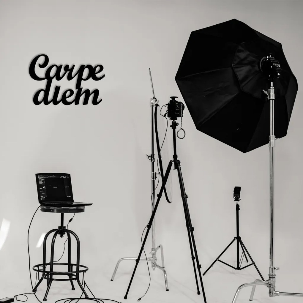 Carpediem fém fali dekoráció, 50×38 cm