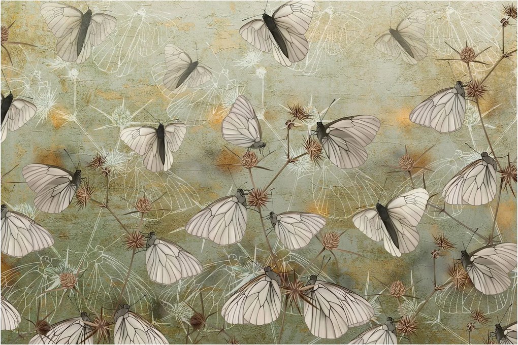 Kép - szüret lepkék (90x60 cm)