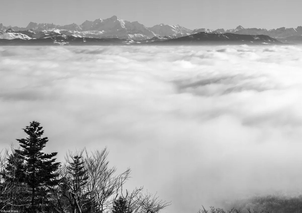 Poszter 29,7x21cm Alpesi kilátás a felhők felett, Assaf Frank