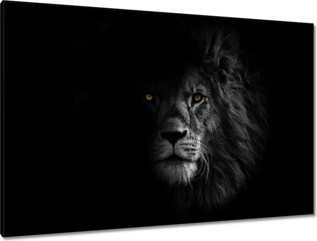 Vászonkép 120x80 Oroszlán az árnyékban Király