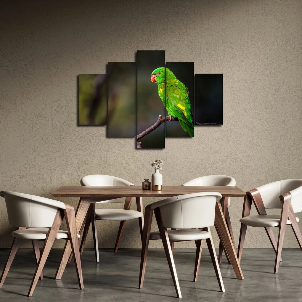 Papagáj egy ágon képe (150x105 cm)