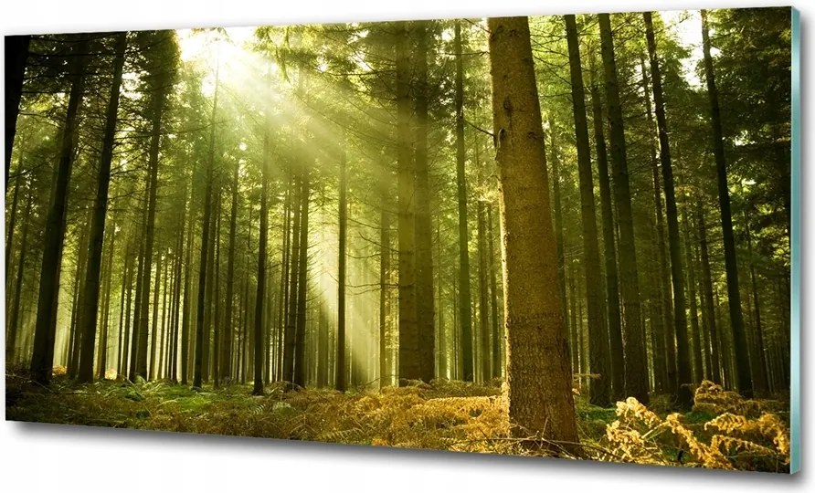 Fotó üveg kép Naplemente hegyek 125x50