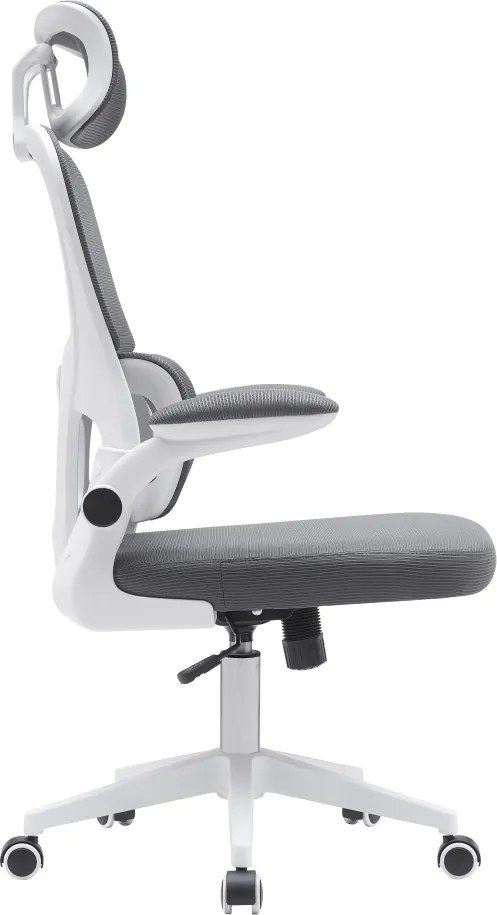 Irodai szék, sötétszürke/fehér, RENARD