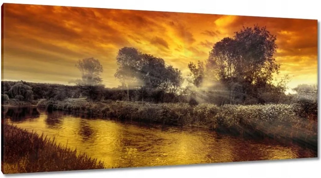 Festmények 115x55 Mézes tájkép