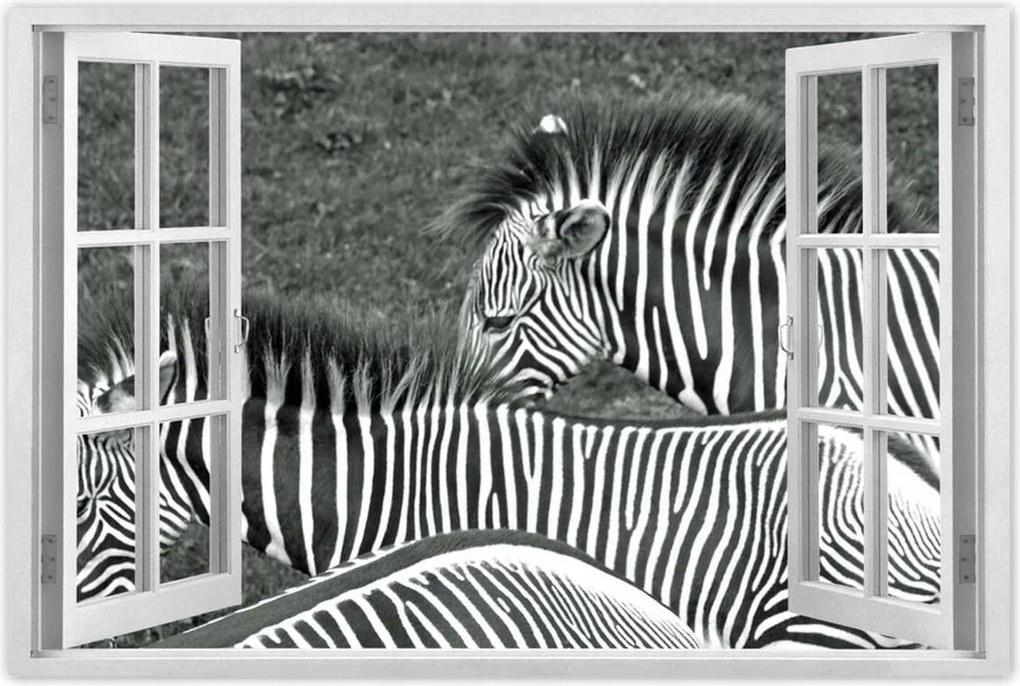 Poszterek 60x40 Zebra csíkok