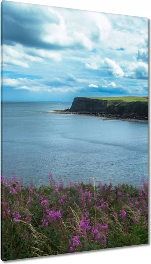 Vászonkép 80x120 Illatos tájkép sziklával