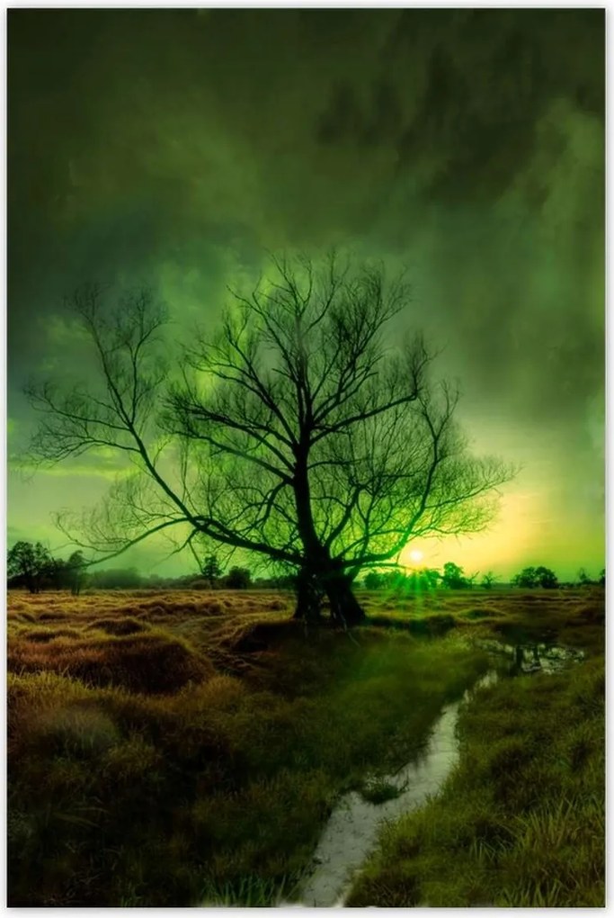 Poszterek 60x90 Rogalin