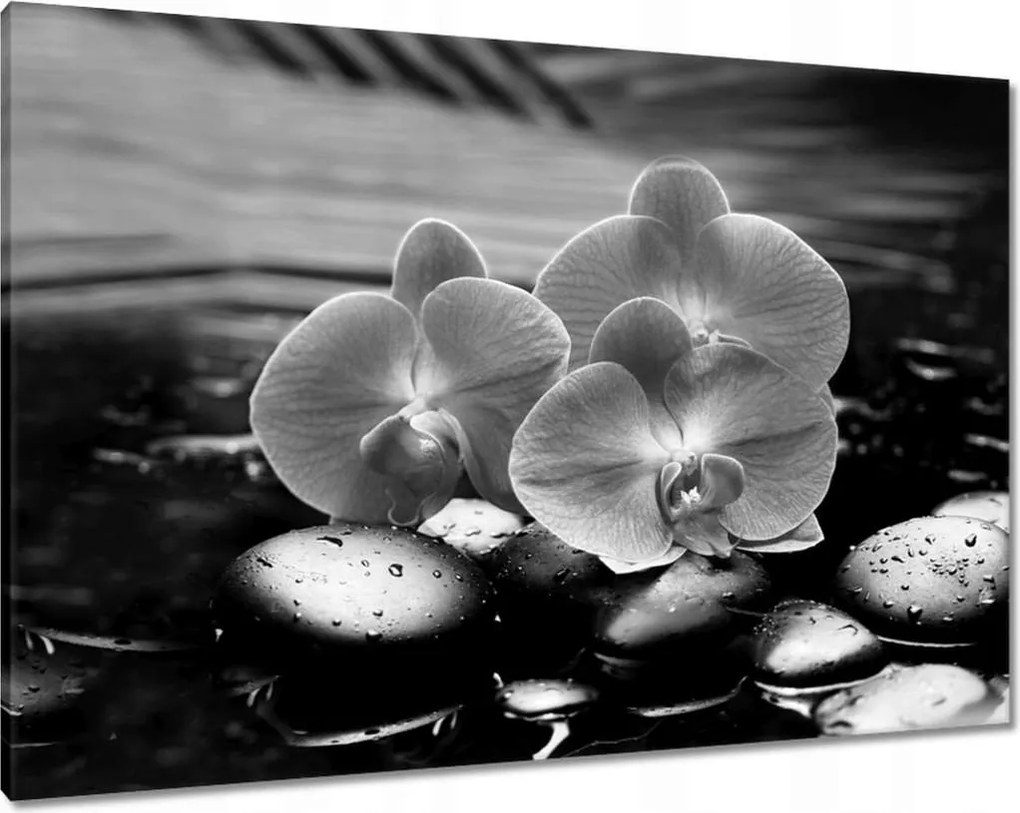 Vászonkép 100x70 Orchideák a köveken