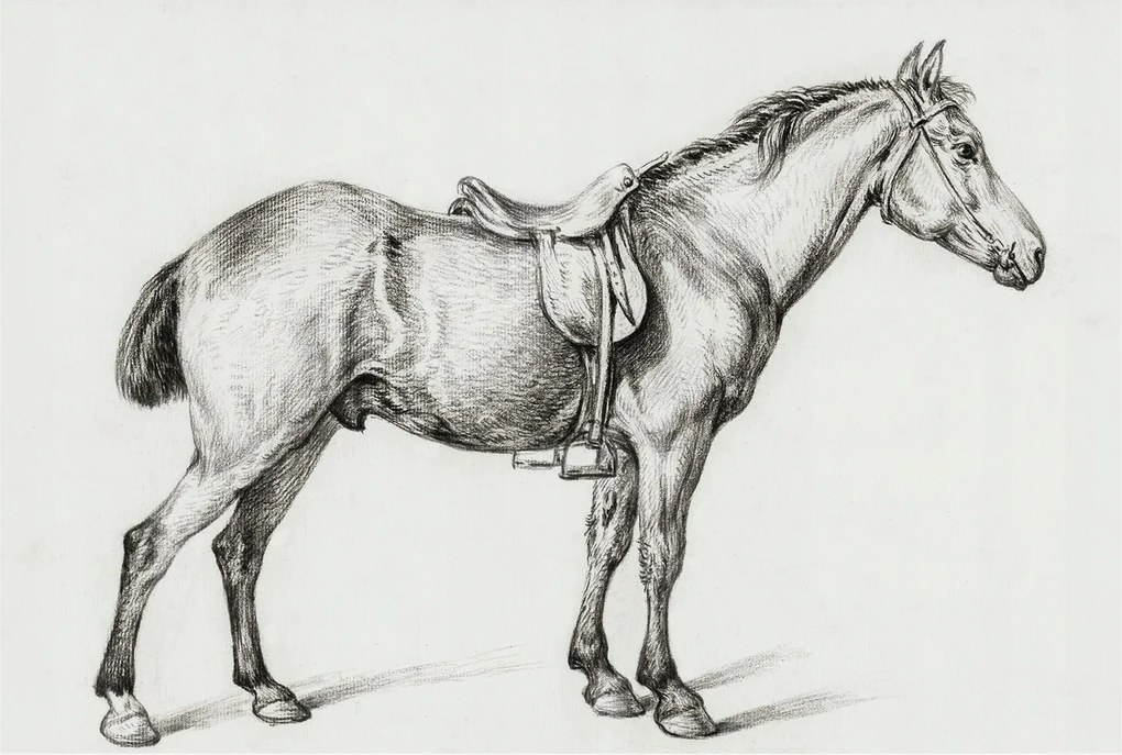 Dekoratív Fotótapéta Hálószobába Ló vázlat 104x70 Ragasztó