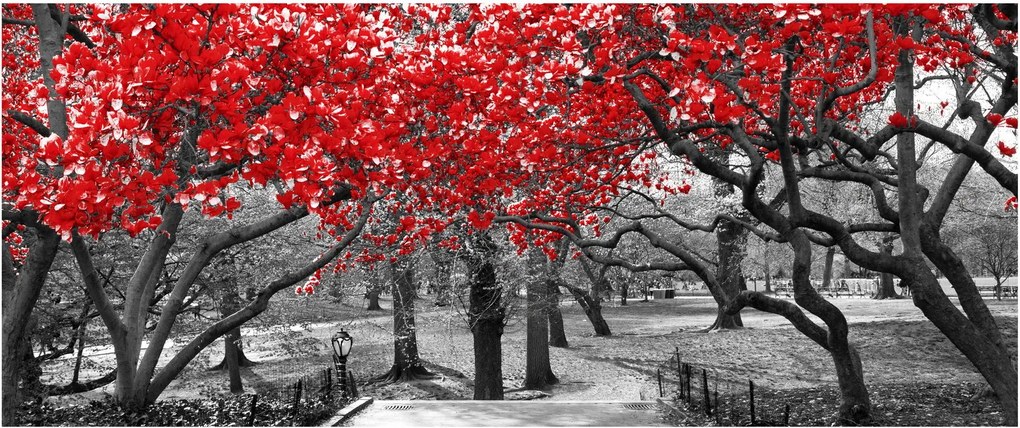 Kép - vörös fák,Central Park, New York (120x50 cm)