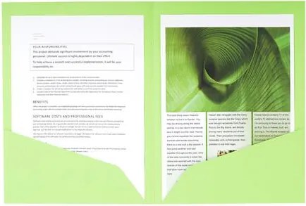 Irattároló mappa, 2 zsebes, A4, 25 db, EXACOMPTA Rock's, 5 különböző szín (EX415000E)