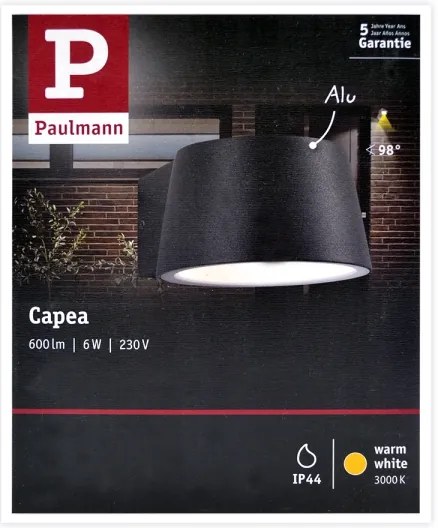 Paulmann 94452 - LED/6W IP44 Kültéri fali lámpa CAPEA 230V