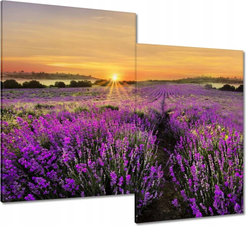 Vászonkép 80x70 Levendula naplemente