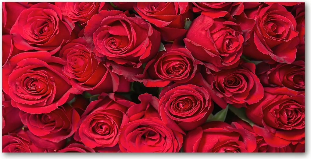 Fotó vászonkép edzett üveg Vörös rózsák 140x70