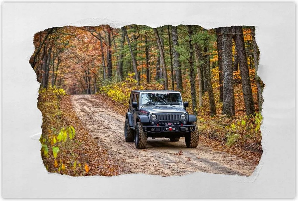 Poszterek 90x60 Jeep Wrangler az erdőben