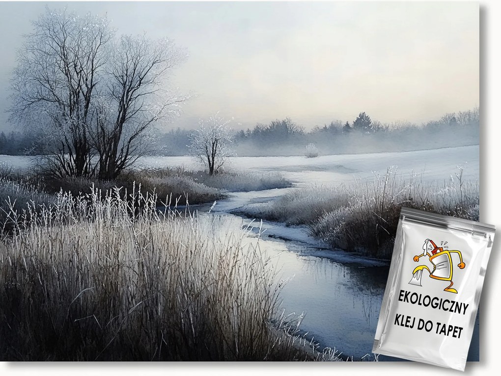 Fotótapéta Flizelina Tájkép Rét Patak Köd Dér Tél 208x146 ragasztó