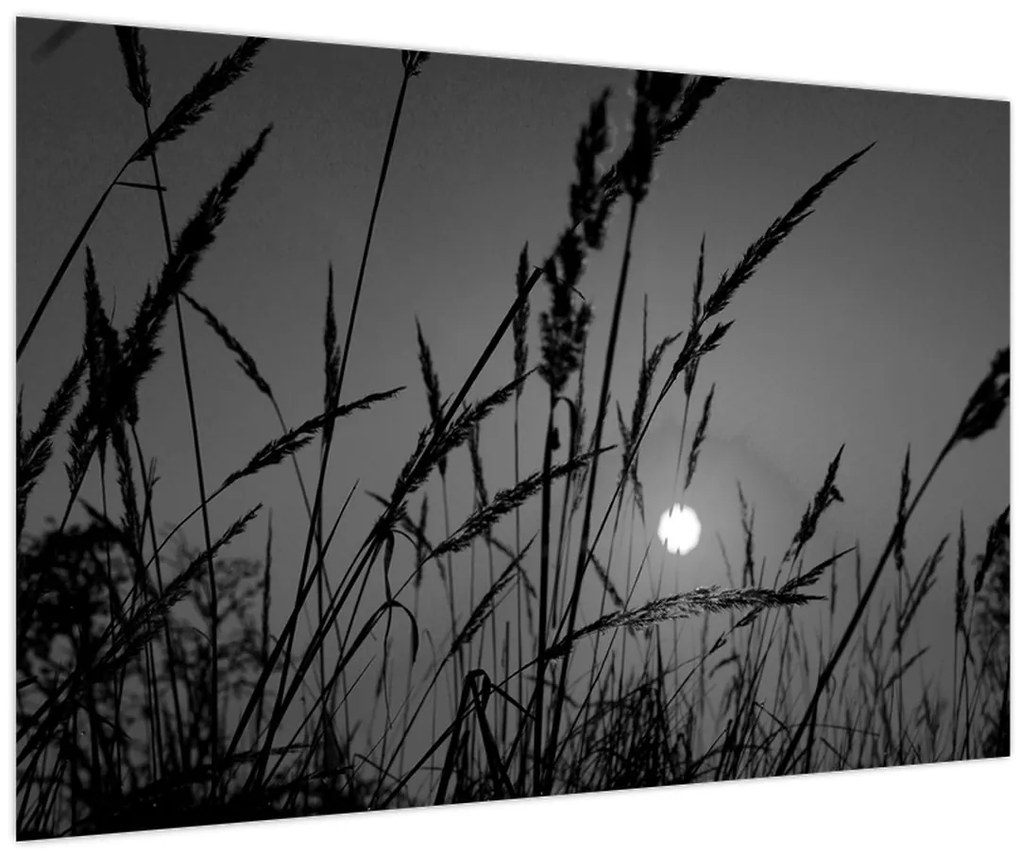 Kép - rét naplementével (90x60 cm)