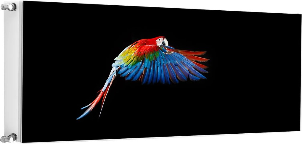 Mágneses Radiátorszőnyeg 140x60 Papagáj Fotótapéta