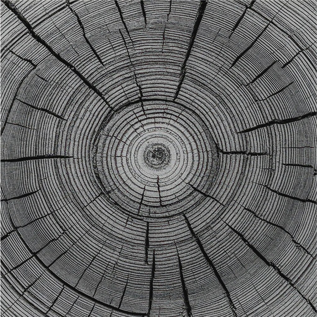 Divatos Flizelin tapéta 3D ragasztóval Fali Erdei harmónia 250x250 Ragasztó