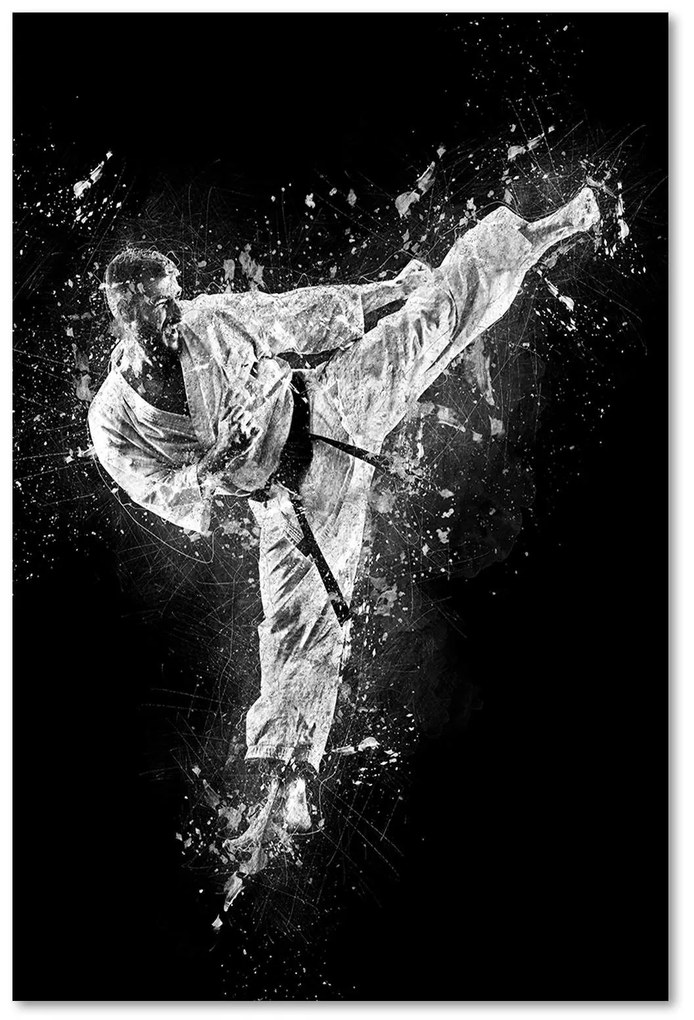 Gario Vászonkép Karate - Cornel Vlad Méret: 40 x 60 cm