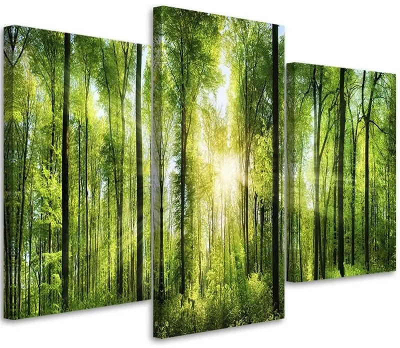 Gario Vászonkép Napsugarak a zöld erdoben - 3 részes Méret: 90 x 60 cm