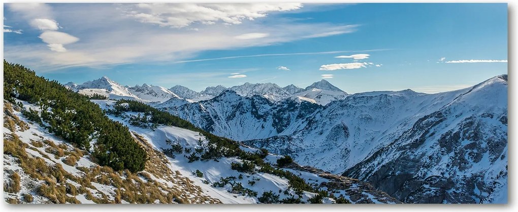 Modern üvegpanel a konyhába Tátra korona XXL