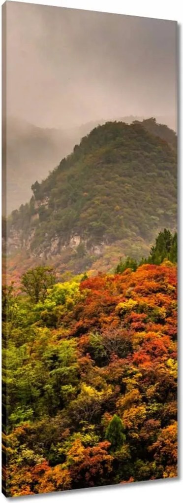 Vászonkép 40x100 Tájkép Látvány