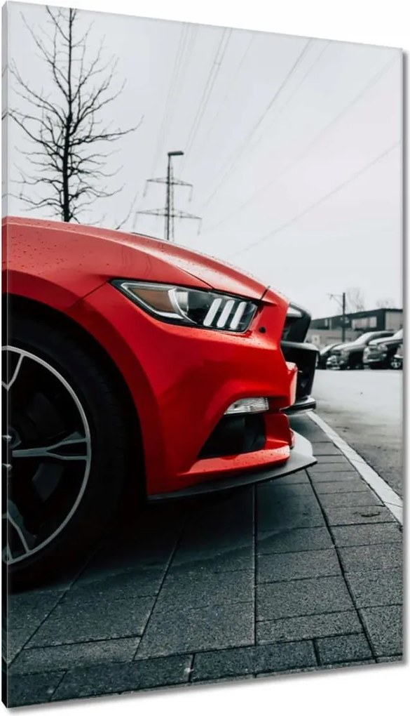 Vászonkép 80x120 Autó-Motor