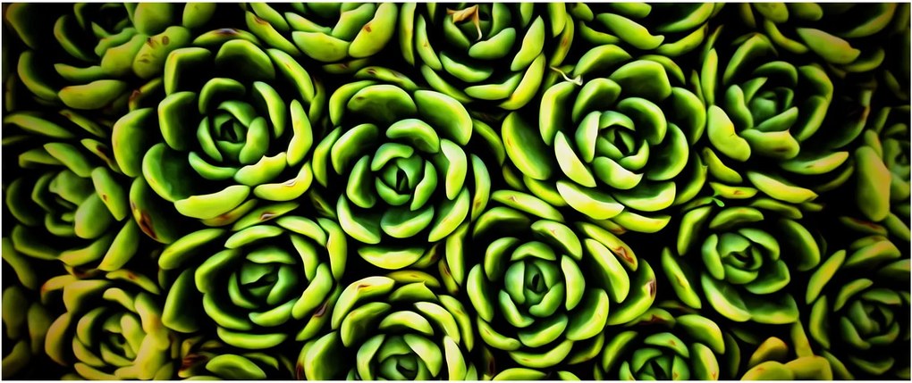 Sziklák képe (120x50 cm)
