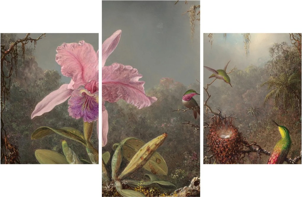 Kép - Martin Johnson Heade, Cattleya Orchid and Three Hummingbirds, reprodukciók (90x60 cm)