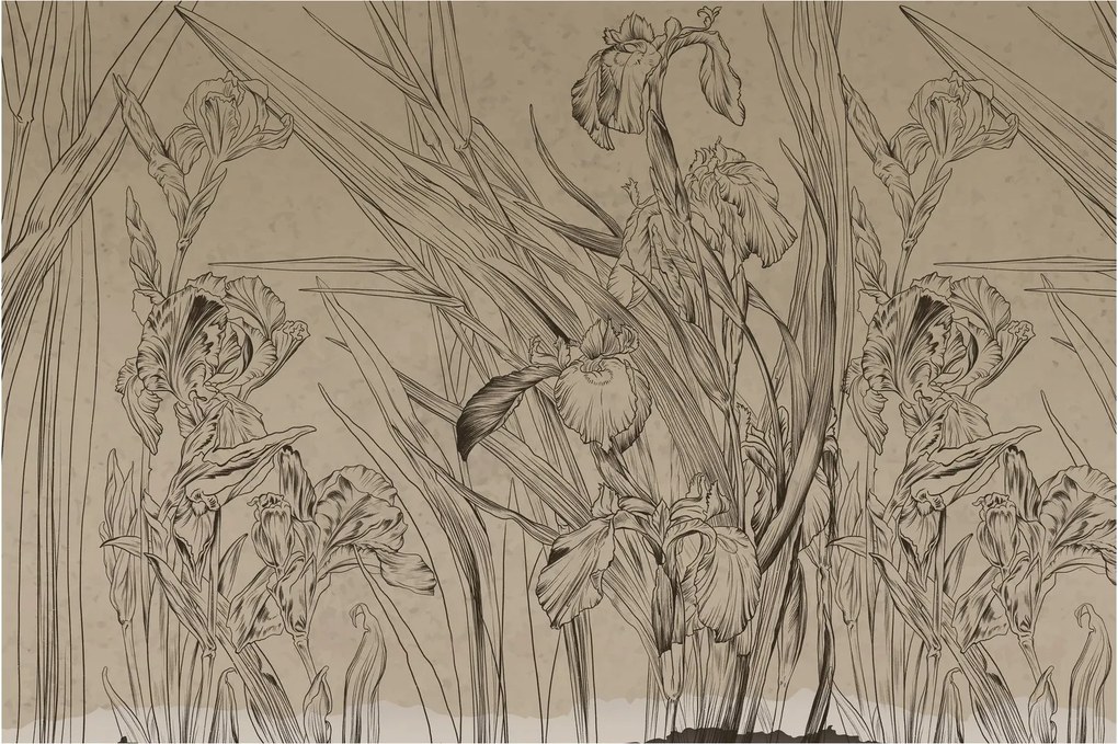 Kép - A növények körvonalai (90x60 cm)